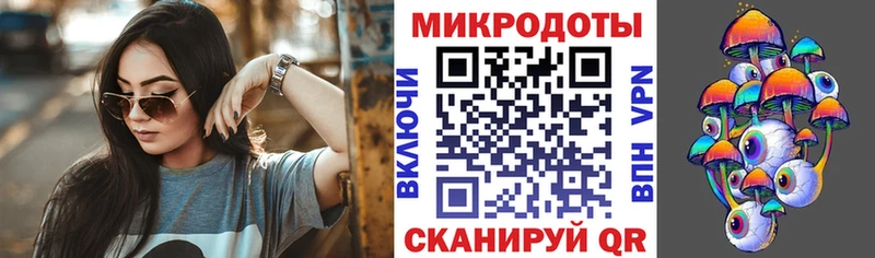 Купить где  Вичуга  Галлюциногенные грибы Psilocybe 